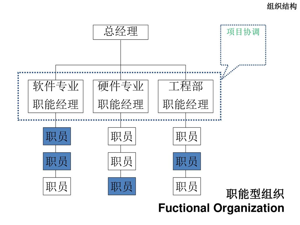 Fuctional Organization