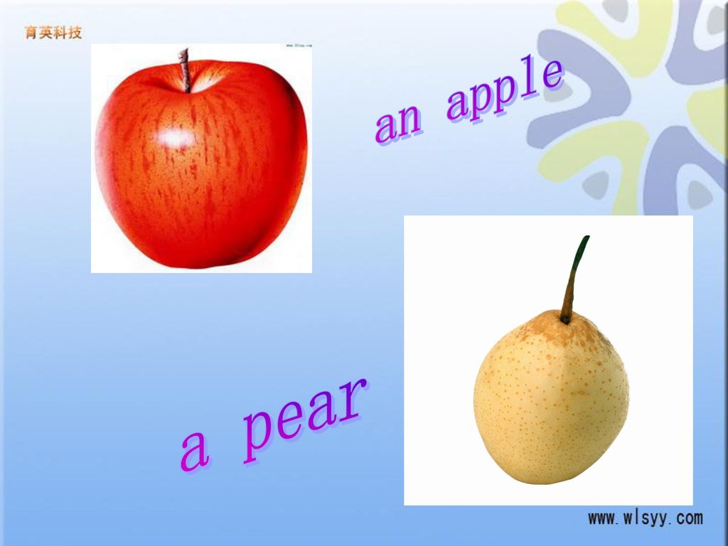 an apple a pear