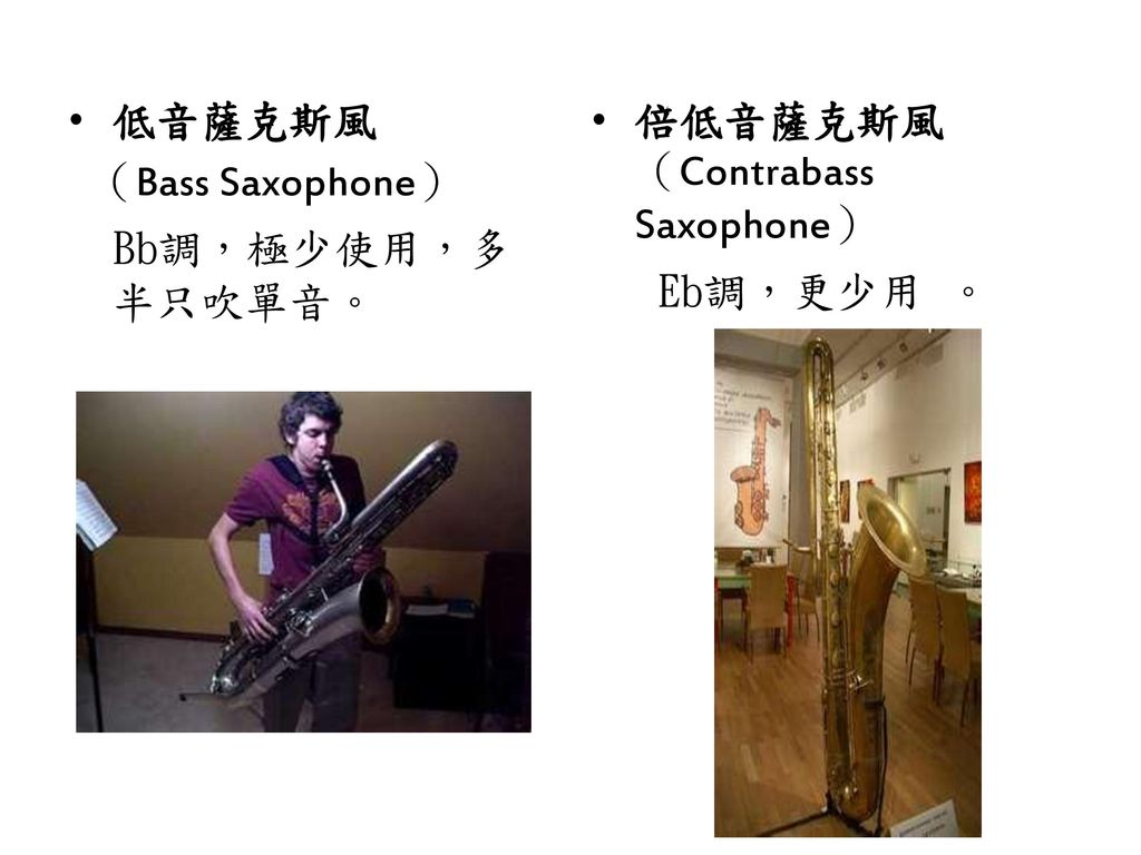 低音薩克斯風 （Bass Saxophone） Bb調，極少使用，多半只吹單音。 倍低音薩克斯風（Contrabass Saxophone） Eb調，更少用 。