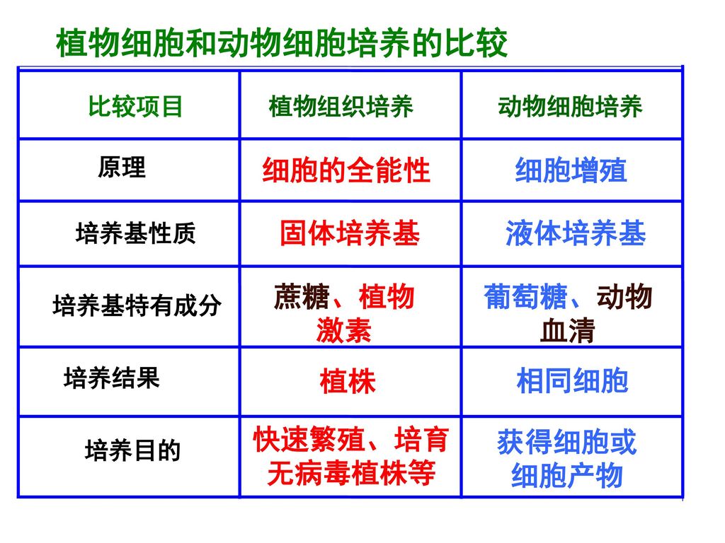 动物细胞工程 Ppt Download