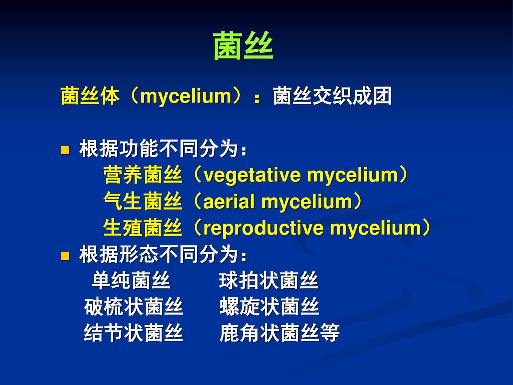 菌丝 菌丝体（mycelium）：菌丝交织成团 根据功能不同分为： 营养菌丝（vegetative mycelium）