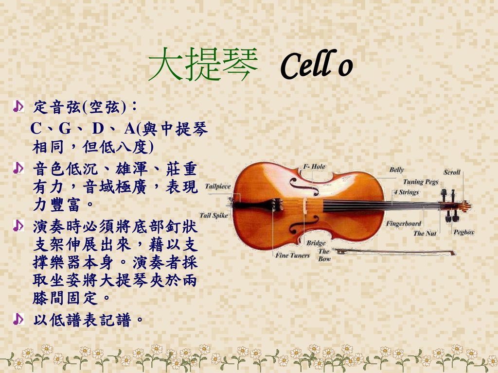 大提琴 Cell o 定音弦(空弦)： C、G、 D、 A(與中提琴相同，但低八度) 音色低沉、雄渾、莊重有力，音域極廣，表現力豐富。