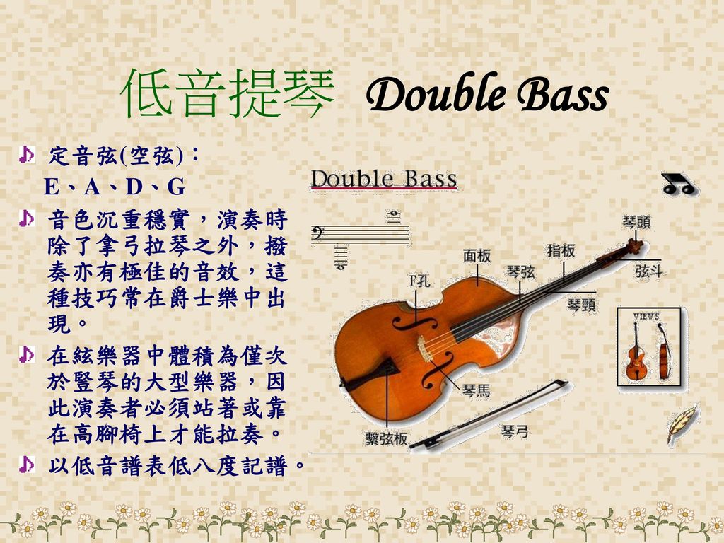 低音提琴 Double Bass 定音弦(空弦)： E、A、D、G