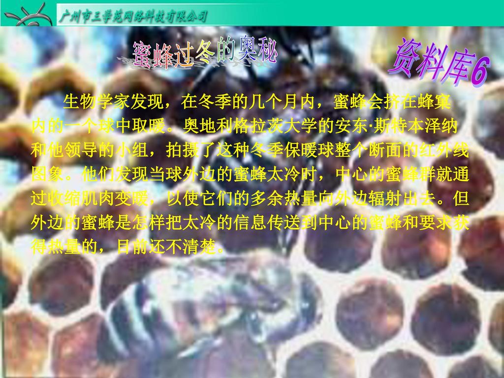 资料库6 蜜蜂过冬的奥秘 生物学家发现，在冬季的几个月内，蜜蜂会挤在蜂窠 内的一个球中取暖。奥地利格拉茨大学的安东·斯特本泽纳