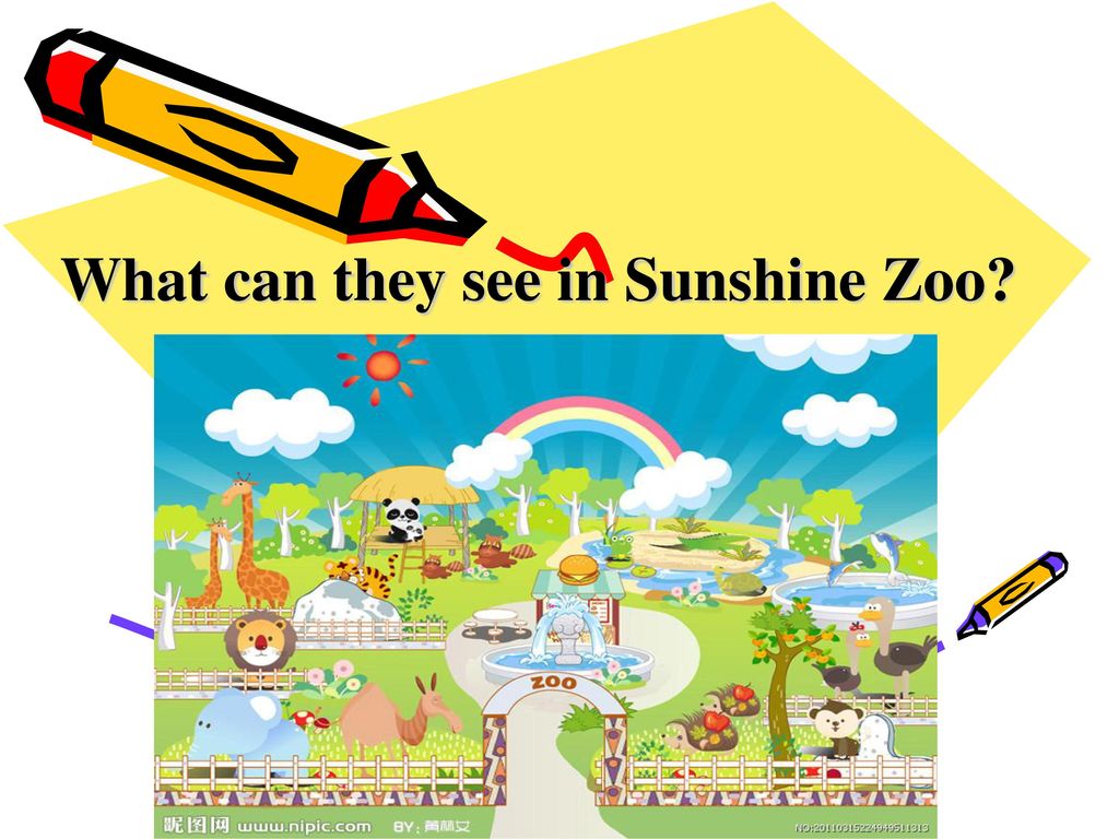 What can they see in Sunshine Zoo