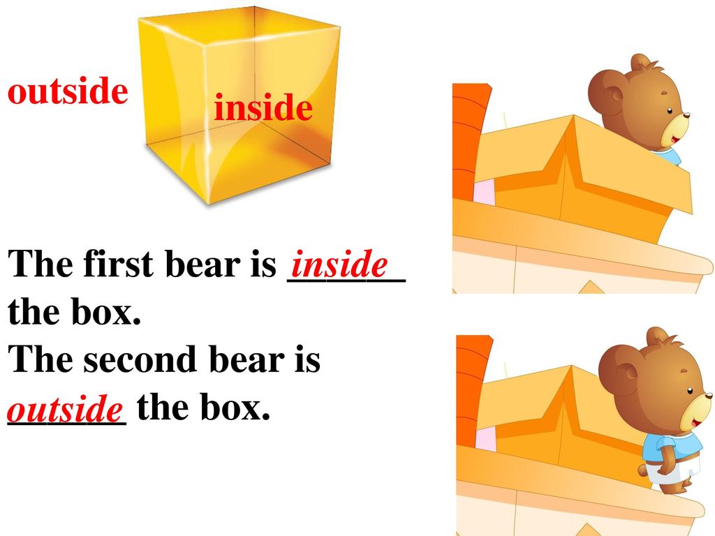 outside inside The first bear is ______ the box. The second bear is ______ the box. inside outside