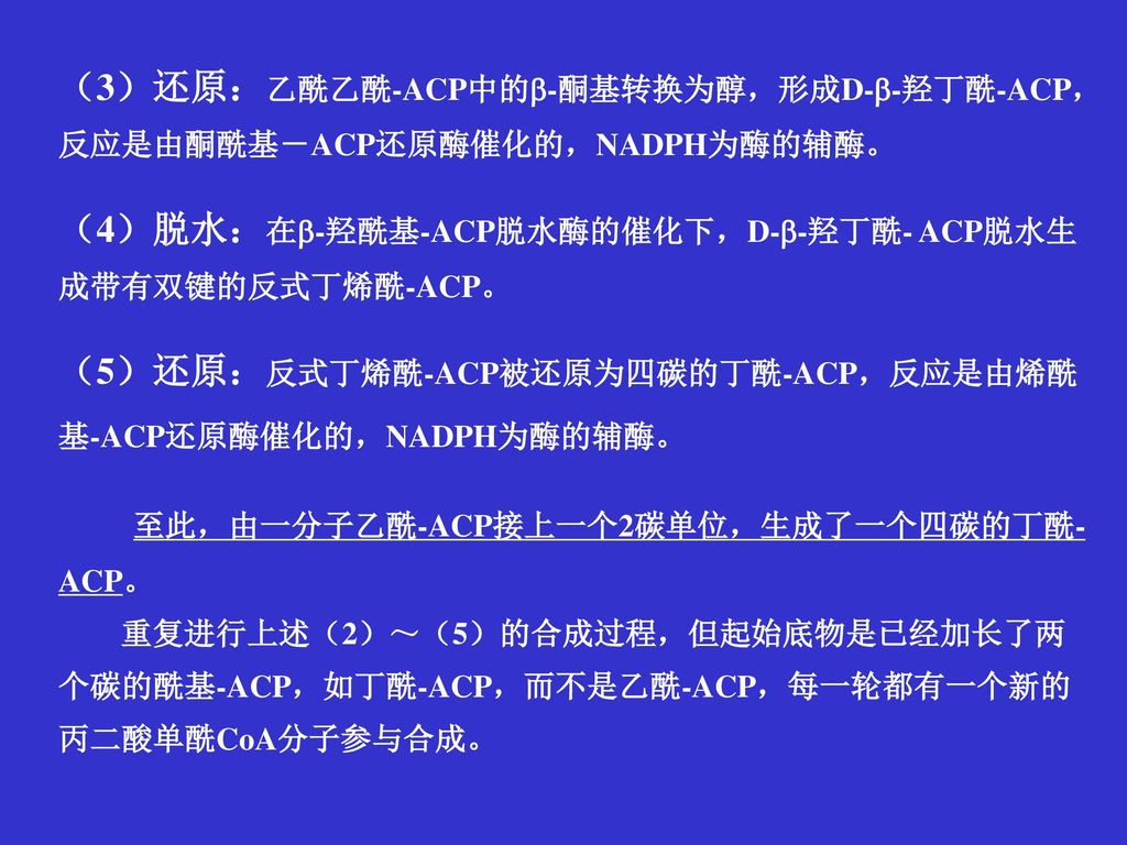 （3）还原：乙酰乙酰-ACP中的-酮基转换为醇，形成D--羟丁酰-ACP，反应是由酮酰基－ACP还原酶催化的，NADPH为酶的辅酶。