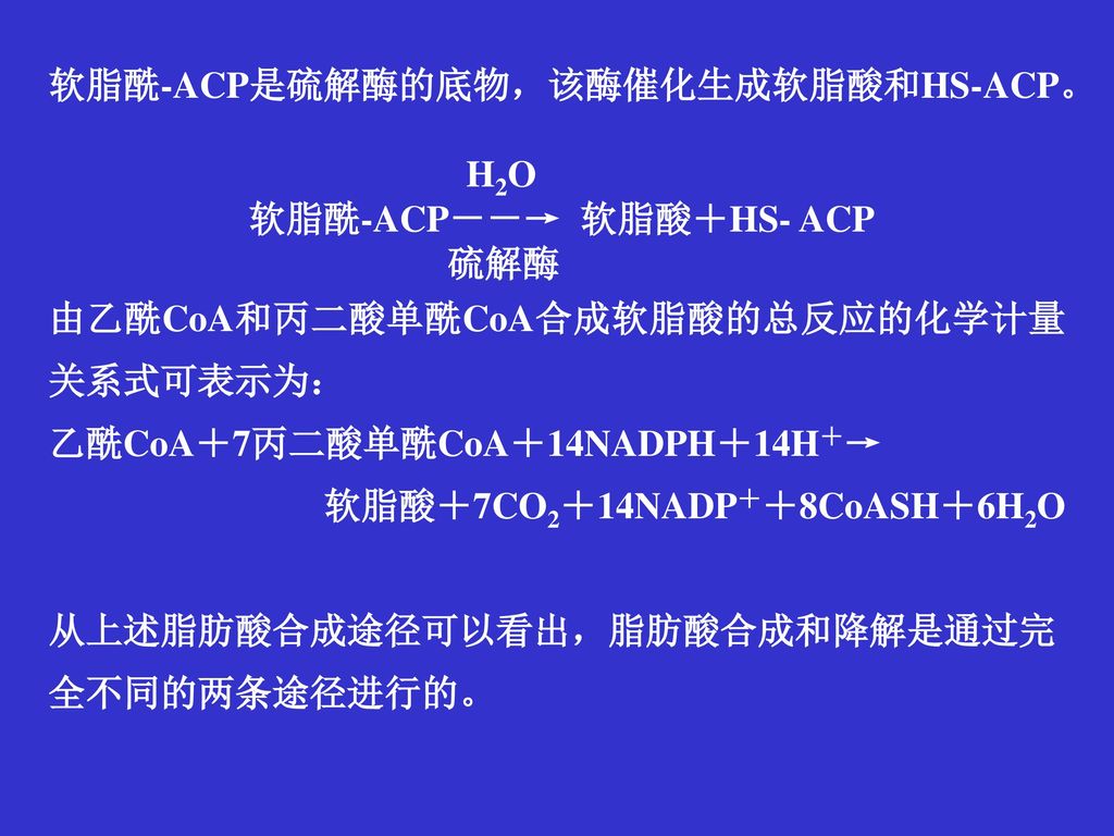 软脂酰-ACP－－→ 软脂酸＋HS- ACP