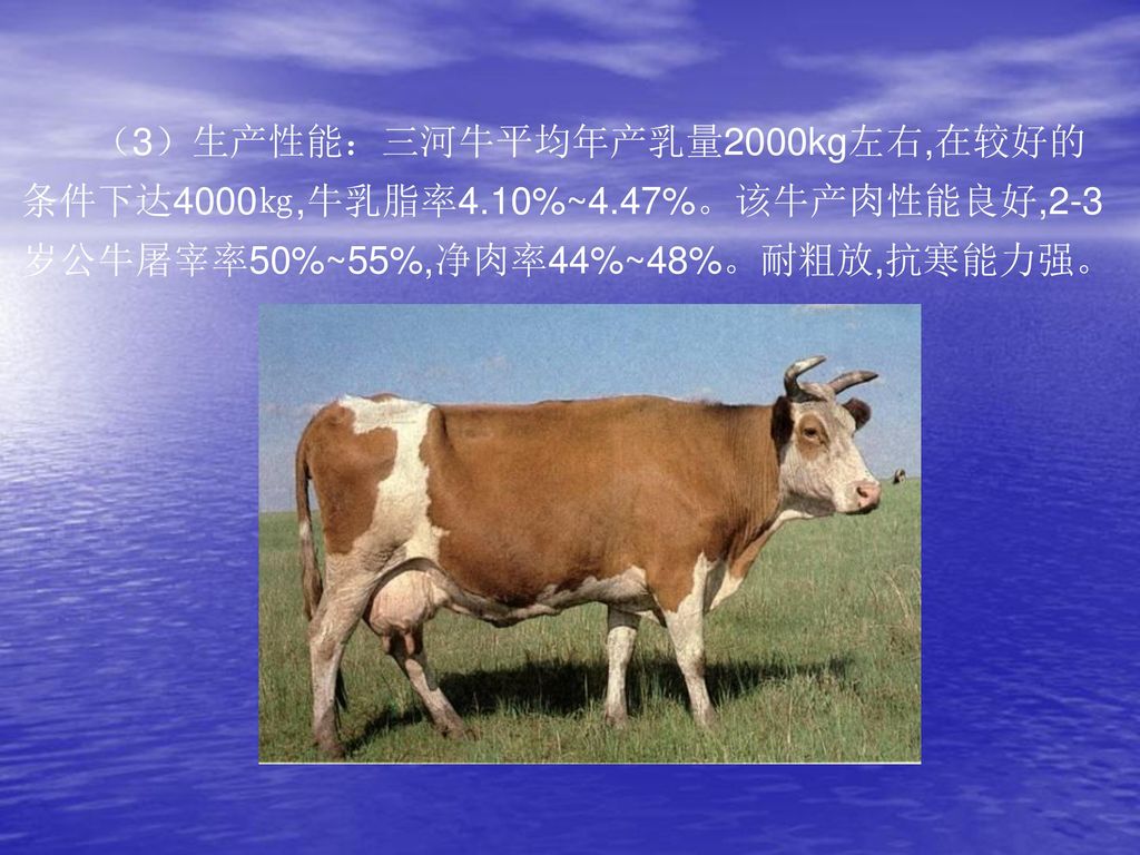 （3）生产性能：三河牛平均年产乳量2000kg左右,在较好的条件下达4000㎏,牛乳脂率4. 10%~4