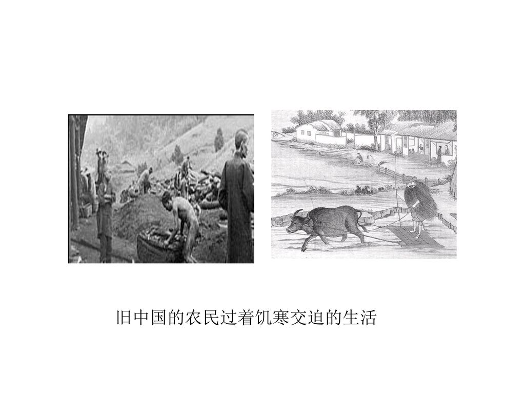 旧中国的农民过着饥寒交迫的生活