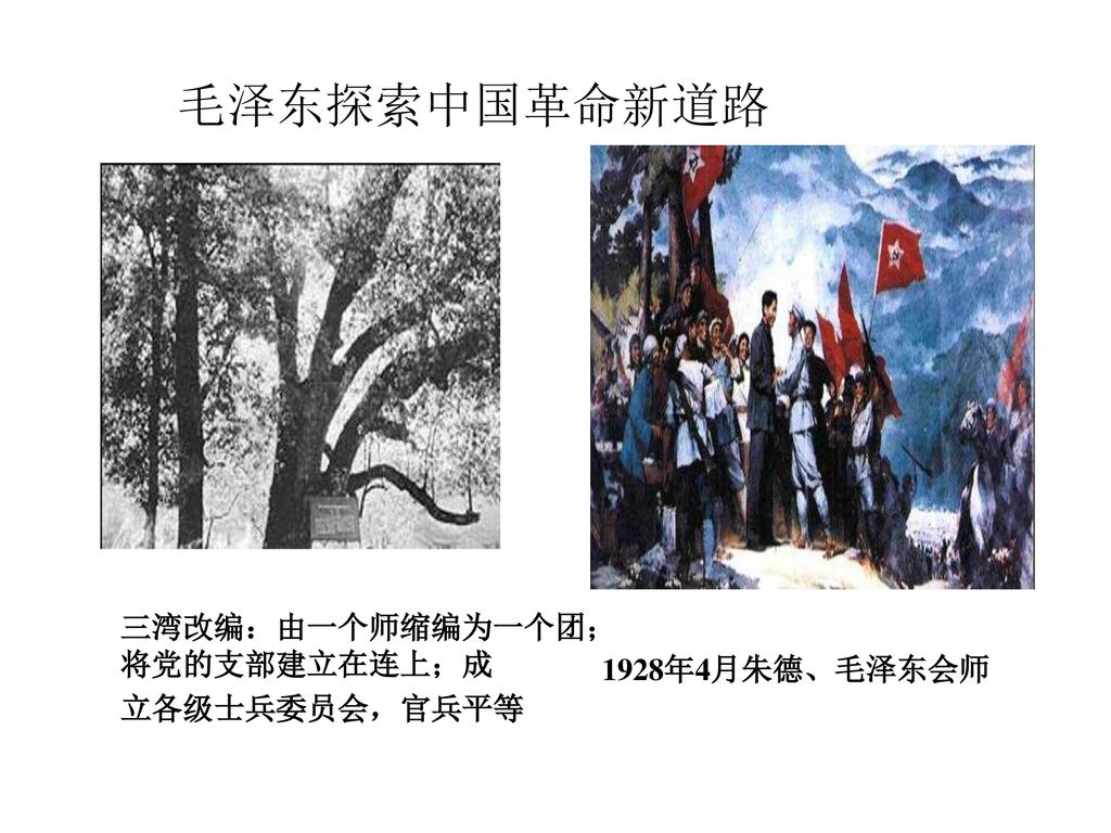 毛泽东探索中国革命新道路 三湾改编：由一个师缩编为一个团；将党的支部建立在连上；成 立各级士兵委员会，官兵平等