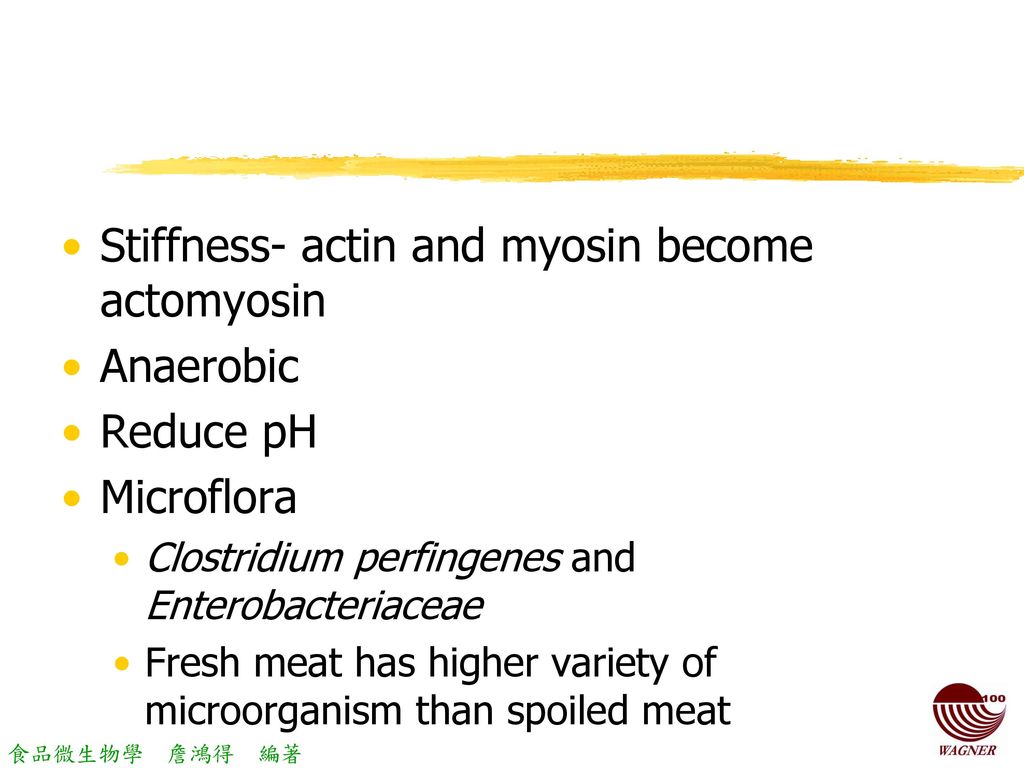 Stiffness- actin and myosin become actomyosin Anaerobic Reduce pH