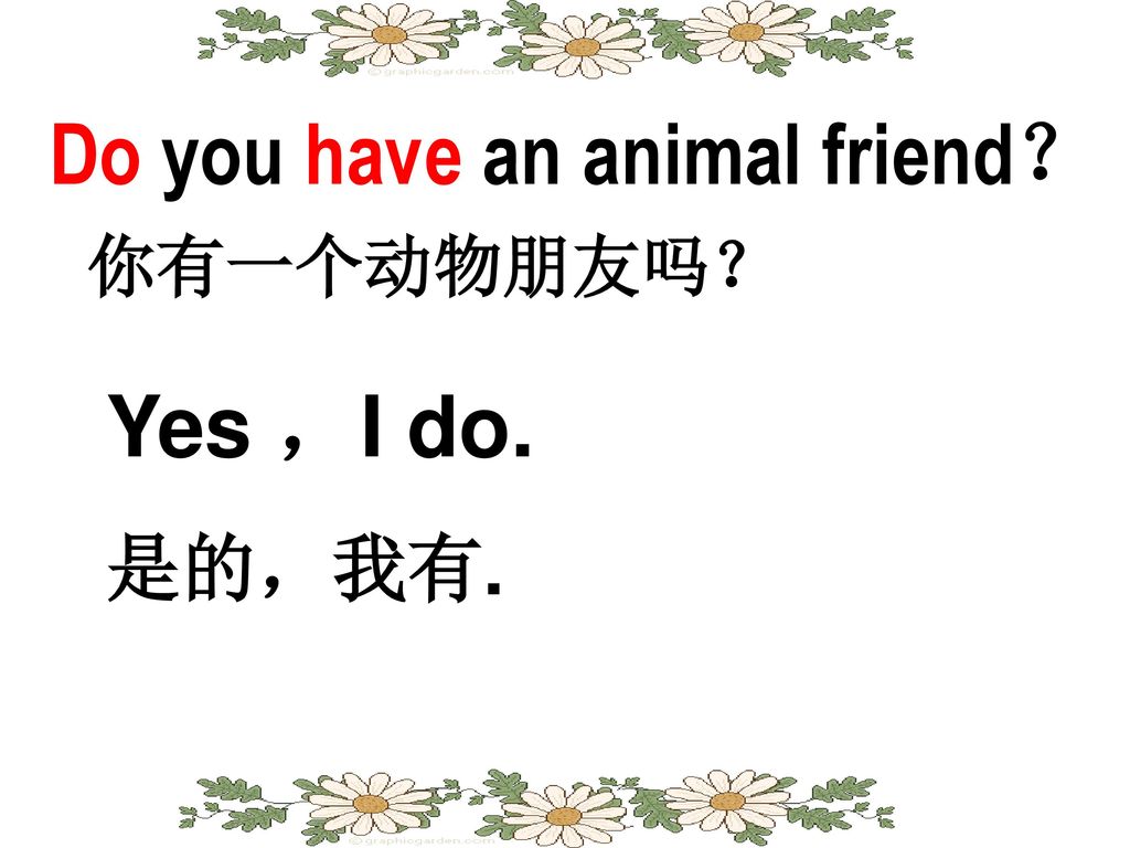 Do you have an animal friend？