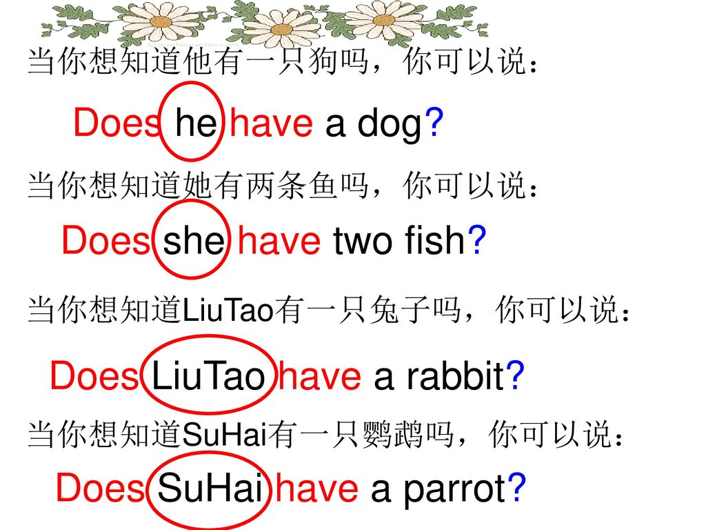 Does LiuTao have a rabbit