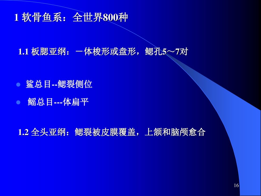 鱼纲17 Pisces Ppt Download