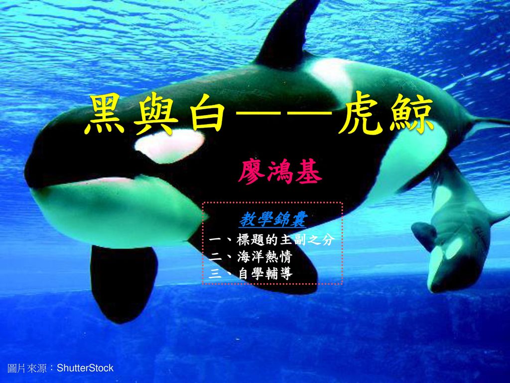 黑與白——虎鯨 廖鴻基 教學錦囊 一、標題的主副之分 二、海洋熱情 三、自學輔導 圖片來源：ShutterStock