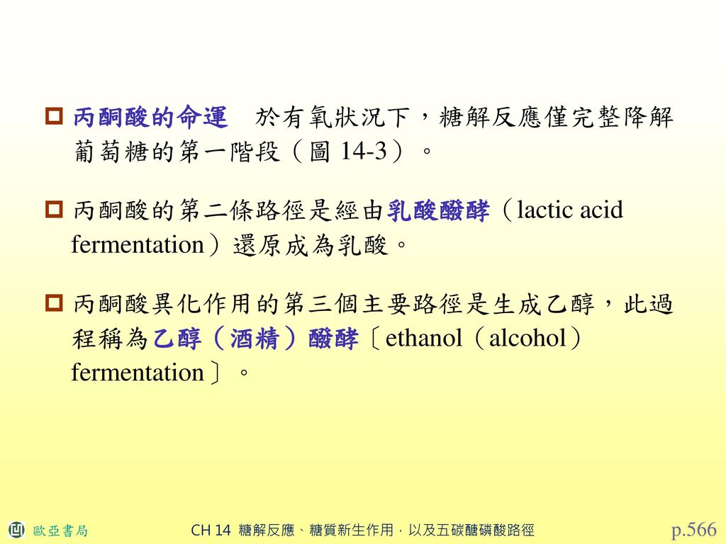 丙酮酸的命運 於有氧狀況下，糖解反應僅完整降解 葡萄糖的第一階段（圖 14-3）。