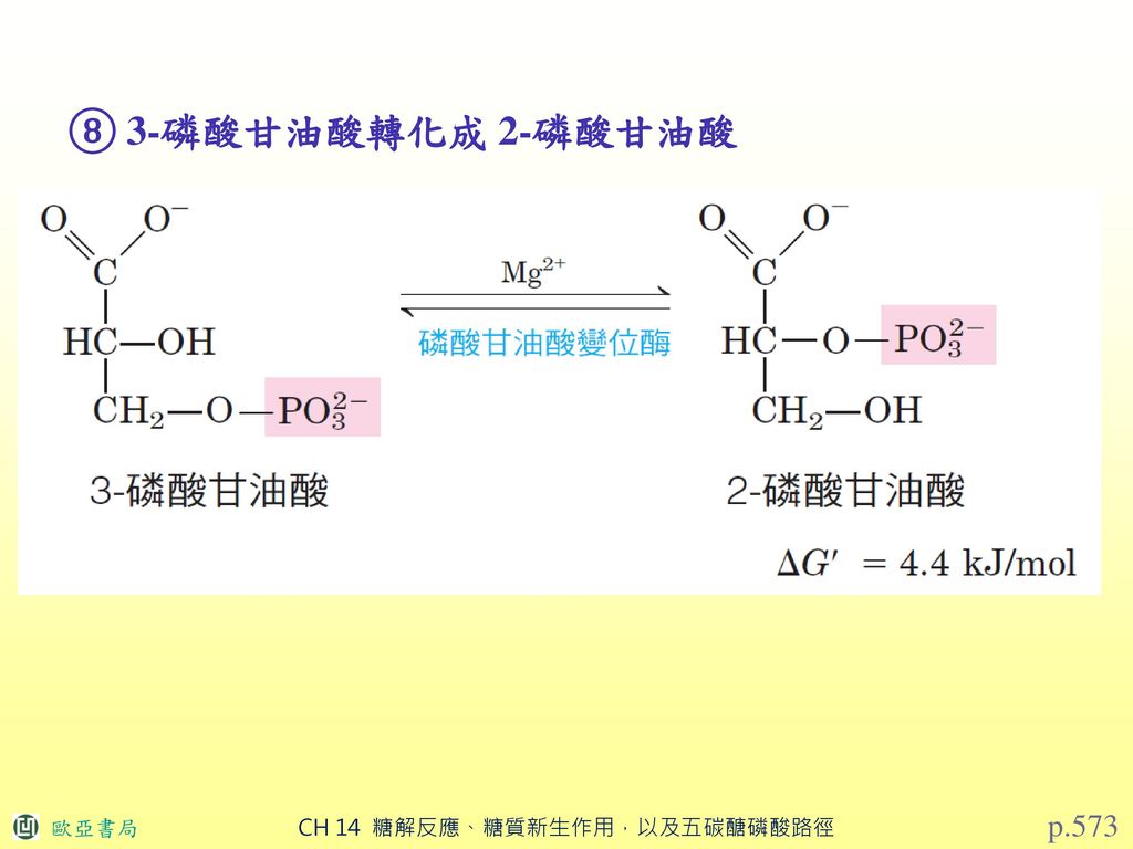 ⑧ 3-磷酸甘油酸轉化成 2-磷酸甘油酸 p.573
