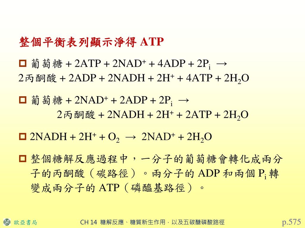 整個平衡表列顯示淨得 ATP 葡萄糖 + 2ATP + 2NAD+ + 4ADP + 2Pi →
