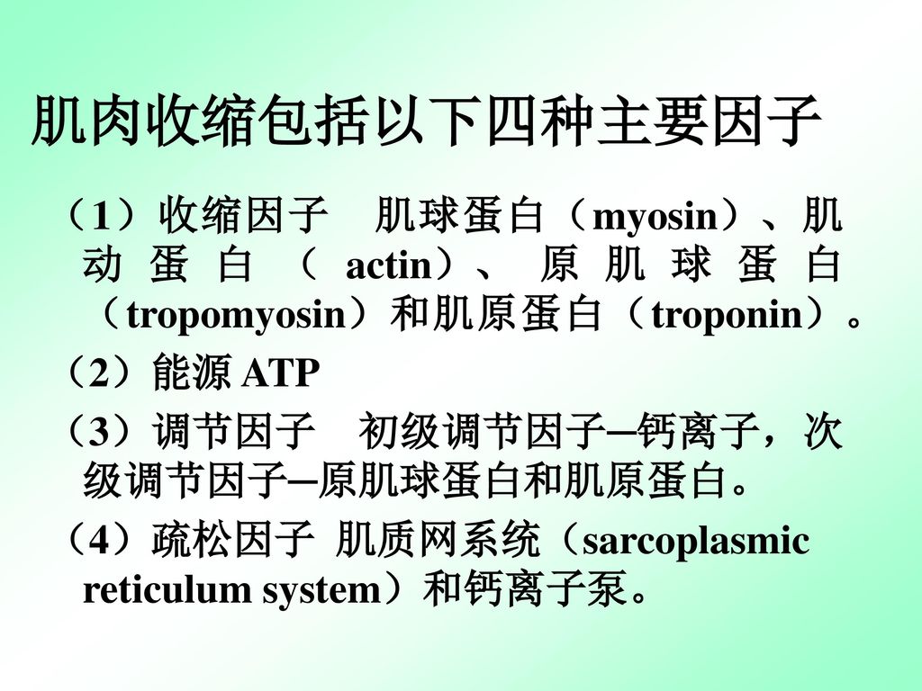 肌肉收缩包括以下四种主要因子 （1）收缩因子 肌球蛋白（myosin）、肌动蛋白（actin）、原肌球蛋白（tropomyosin）和肌原蛋白（troponin）。 （2）能源 ATP. （3）调节因子 初级调节因子─钙离子，次级调节因子─原肌球蛋白和肌原蛋白。