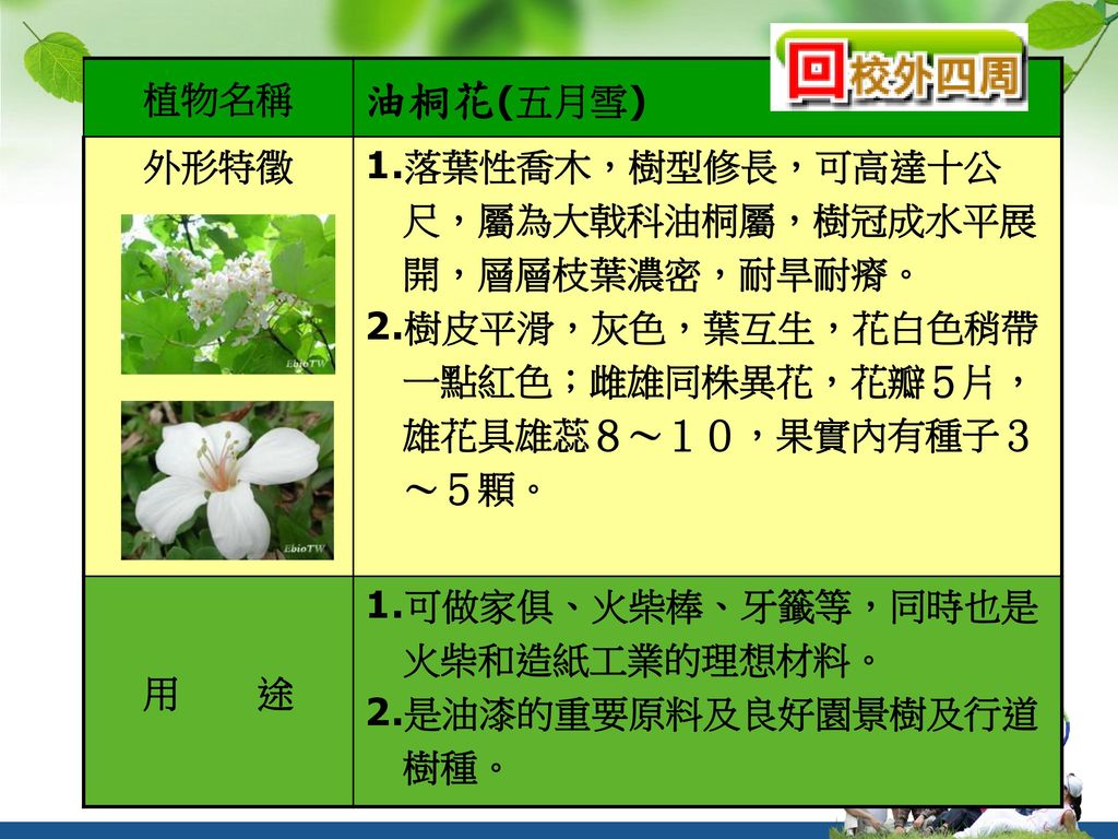 校園植物探索之旅架構設計 資料蒐集 照片整理王雅芬老師 Ppt Download