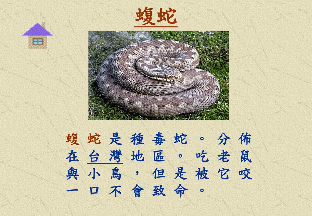 蝮蛇 蝮 蛇 是 種 毒 蛇 。 分 佈 在 台 灣 地 區 。 吃 老 鼠 與 小 鳥 ， 但 是 被 它 咬 一 口 不 會 致 命 。