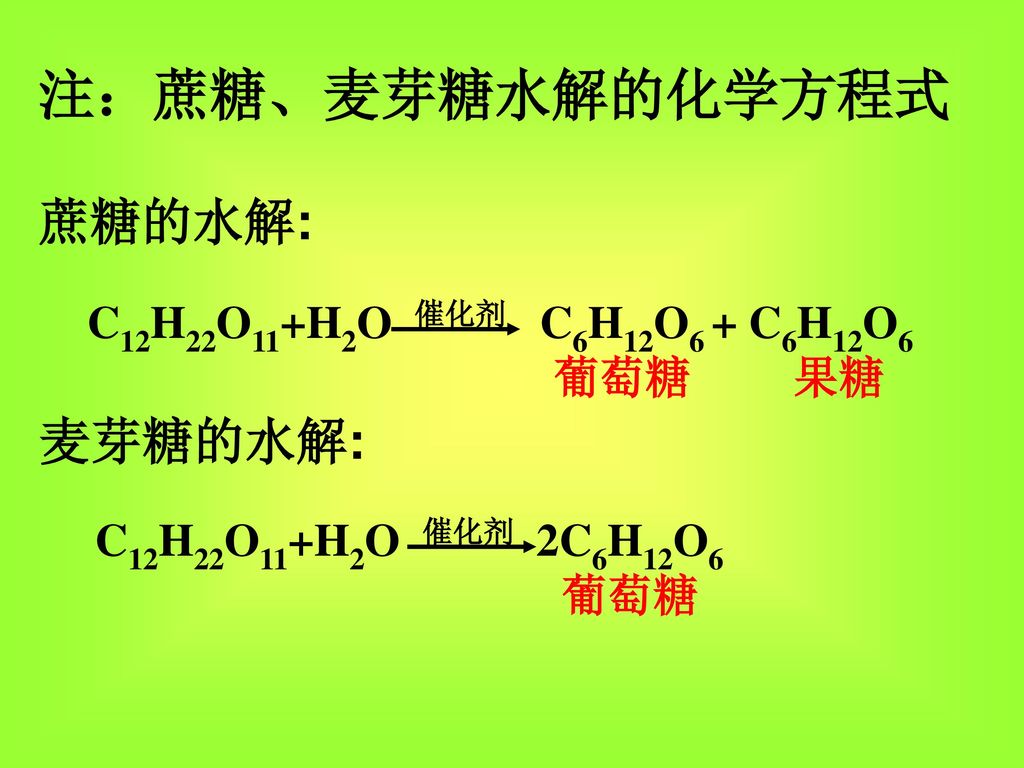 注：蔗糖、麦芽糖水解的化学方程式 蔗糖的水解: 麦芽糖的水解: C12H22O11+H2O 催化剂 C6H12O6 + C6H12O6