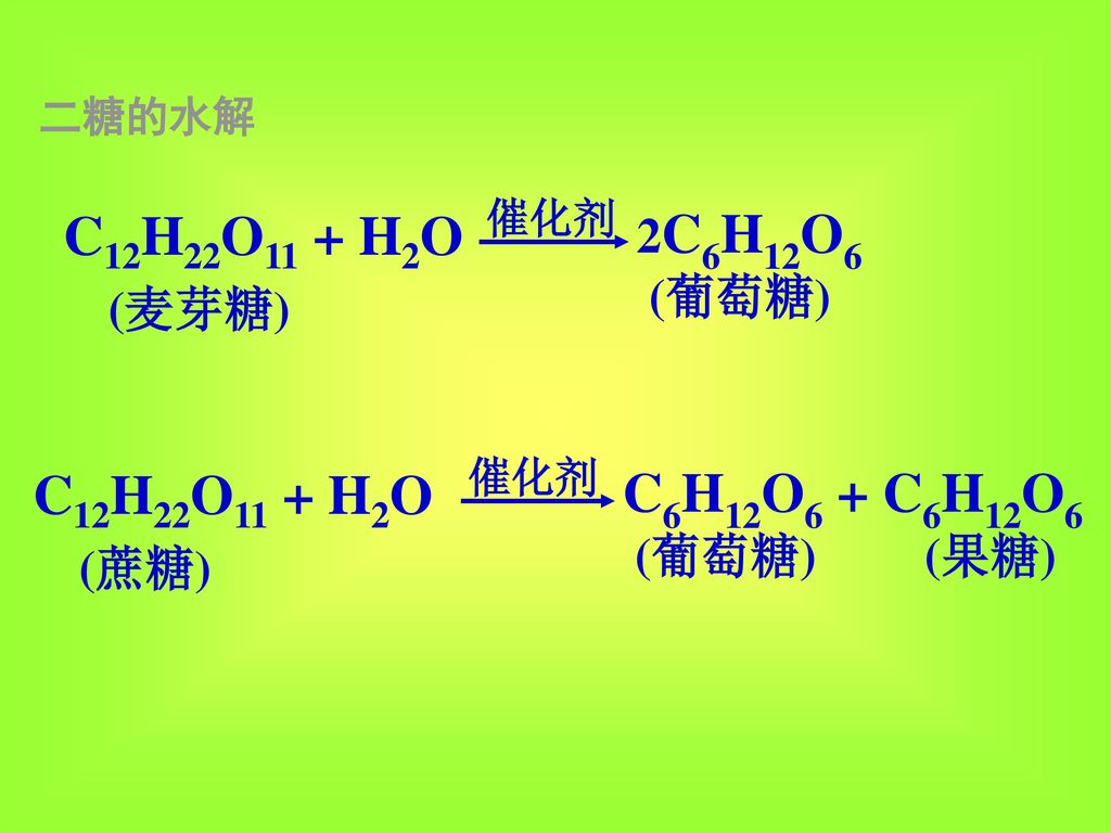 C12H22O11 + H2O C12H22O11 + H2O 2C6H12O6 (葡萄糖) (麦芽糖) C6H12O6 + C6H12O6