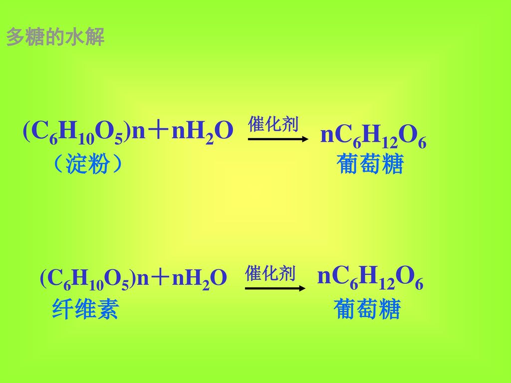 (C6H10O5)n＋nH2O nC6H12O6 nC6H12O6 （淀粉） 葡萄糖 (C6H10O5)n＋nH2O 纤维素 葡萄糖