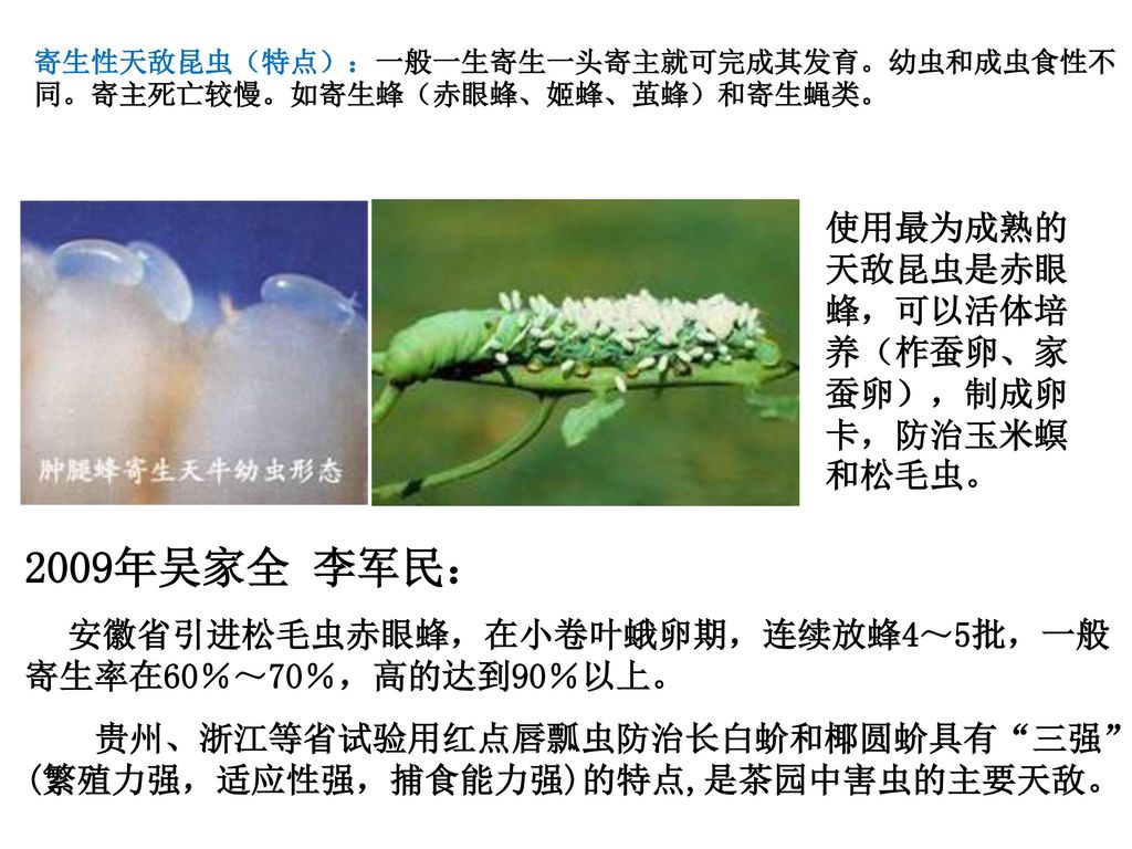 现代生物学与健康王邦俊西南大学生命科学学院 Ppt Download