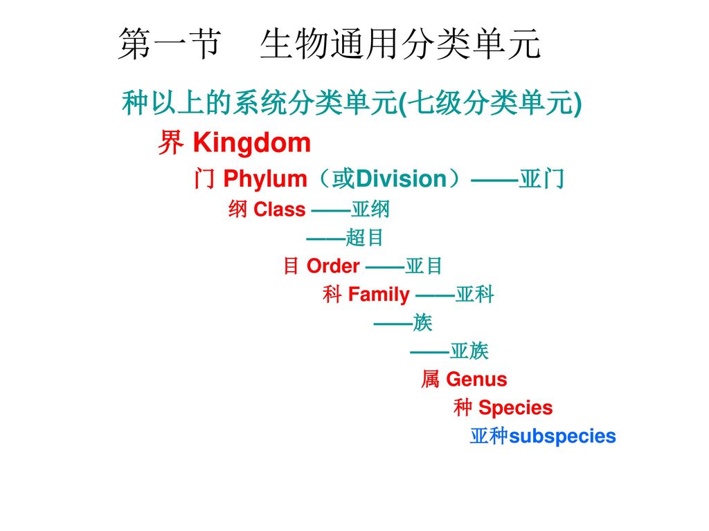 《微生物学》上网复习和课件浏览 1.浏览课件：不同老师课件的特色和内容重点； 2.思考题和解答问题； 3.实验教学特点、重点及录像 ...