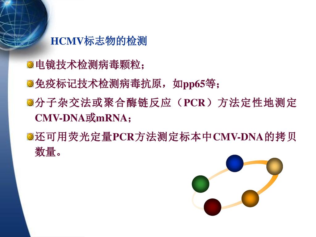 巨细胞病毒 Cytomegalovirus Cmv 为双链dna病毒 属于疱疹病毒b亚科 急性感染恢复后 病毒可长期潜伏在体内 一旦机体免疫功能减损 病毒即可激活致病 故为 机会 致病微生物 具有严格的种属特异性 可通过多种途径侵入人体 原发感染 初次感染外源性病毒 再发