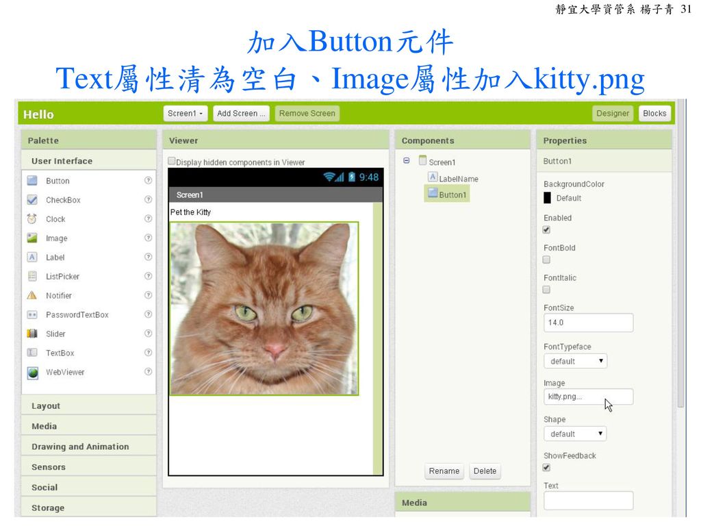 加入Button元件 Text屬性清為空白、Image屬性加入kitty.png
