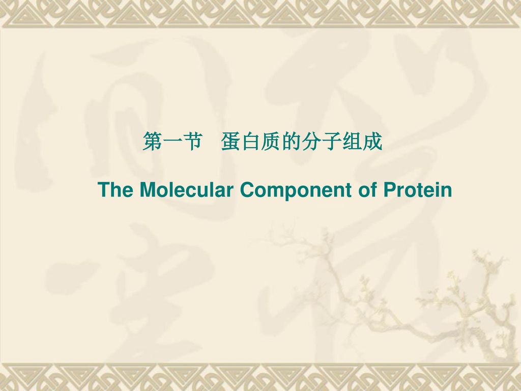 第一节 蛋白质的分子组成 The Molecular Component of Protein