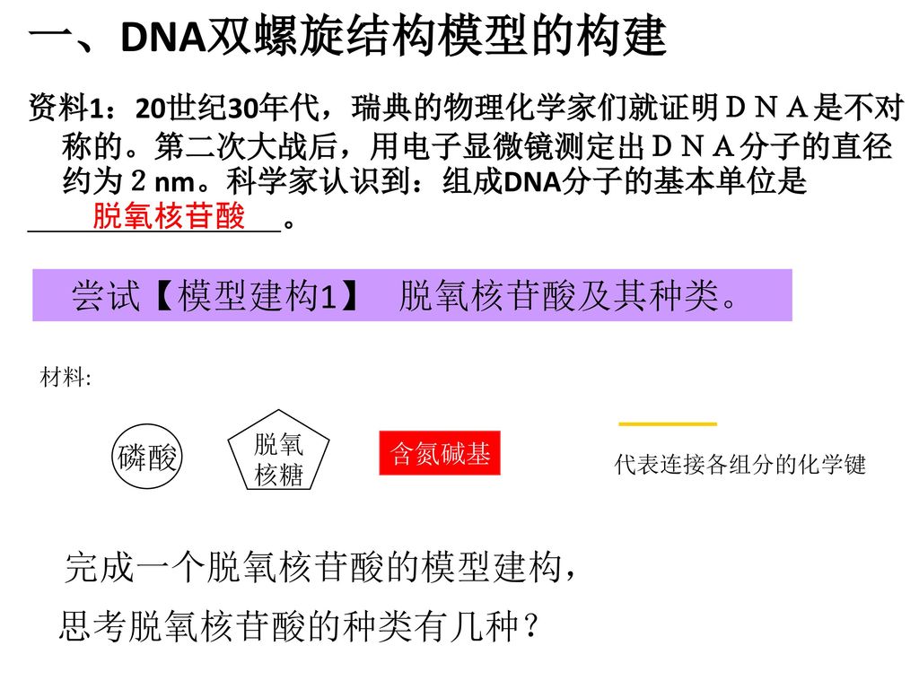 DNA多态性分析基础. - ppt download