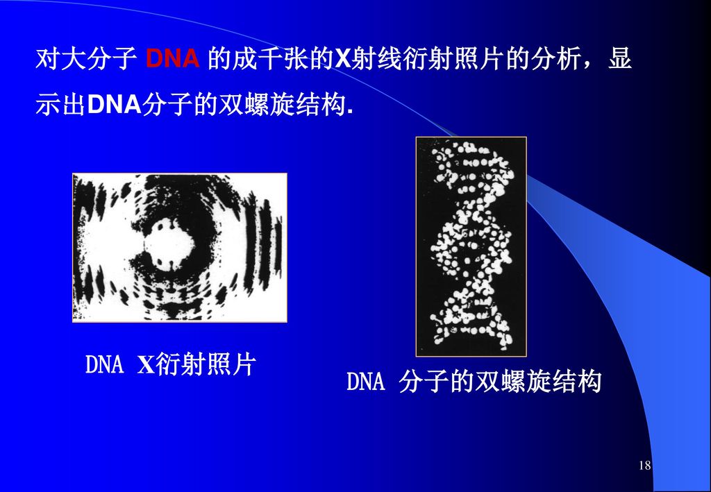 对大分子 DNA 的成千张的X射线衍射照片的分析，显