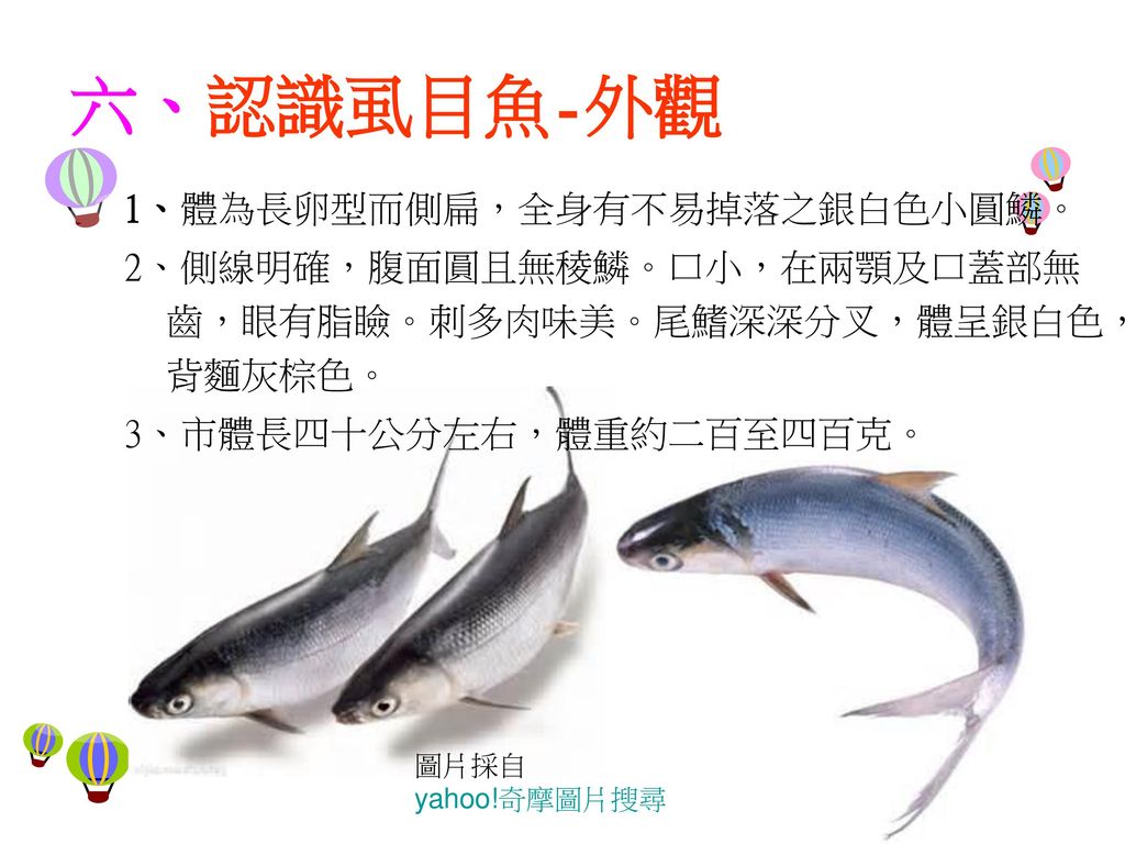 高營養價值的魚 虱目魚彌陀虱目魚文化節及永安海洋音樂季開幕林垣圻老師主講由網友kcgofficetube提供 Ppt Download