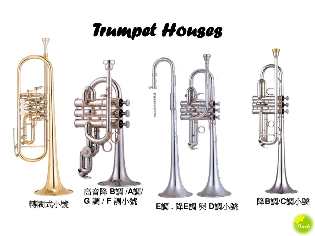 Trumpet Houses 高音降 B調 /A調/ G 調 / F 調小號 降B調/C調小號 轉閥式小號 E調 . 降E調 與 D調小號