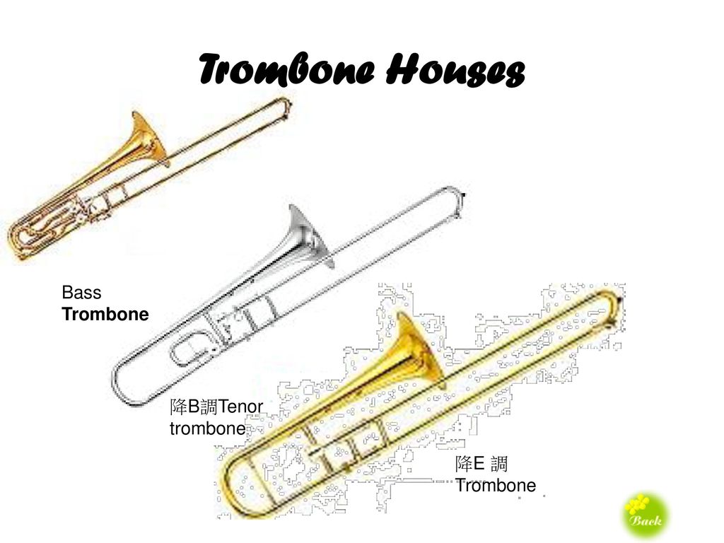 Trombone Houses Bass Trombone 降B調Tenor trombone 降E 調Trombone