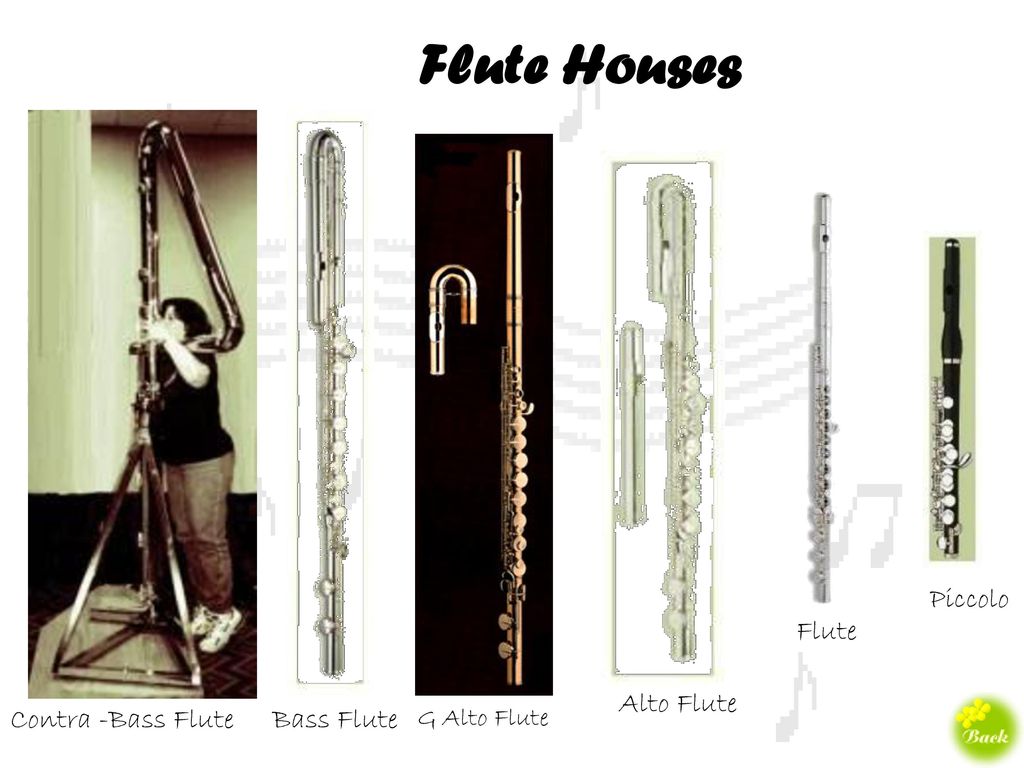 Flute Houses Piccolo Flute Alto Flute Contra -Bass Flute Bass Flute