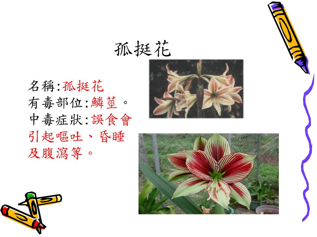 校園有毒植物童軍 Ppt Download