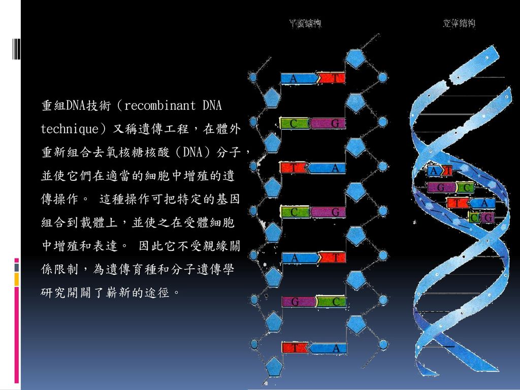 重組DNA技術（recombinant DNA technique）又稱遺傳工程，在體外重新組合去氧核糖核酸（DNA）分子，並使它們在適當的細胞中增殖的遺傳操作。 這種操作可把特定的基因組合到載體上，並使之在受體細胞中增殖和表達。 因此它不受親緣關係限制，為遺傳育種和分子遺傳學研究開闢了嶄新的途徑。