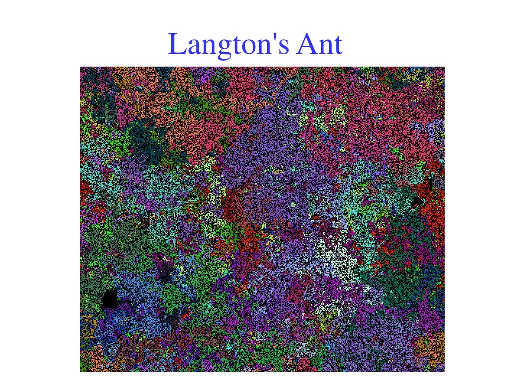 Langton s Ant