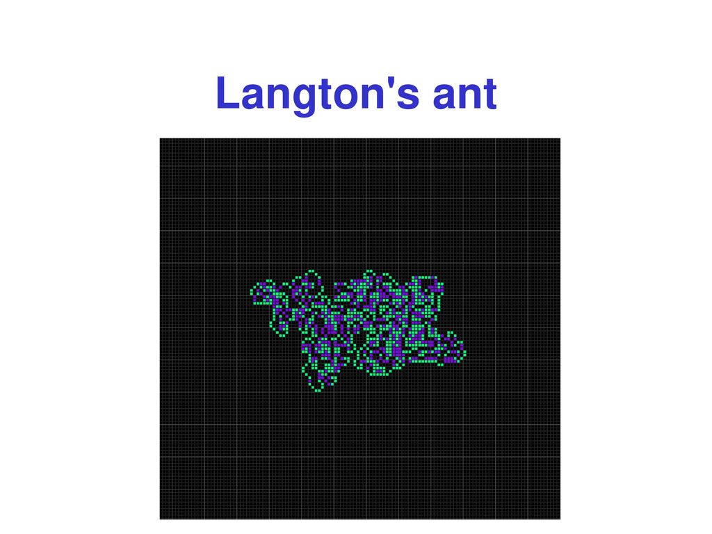 Langton s ant