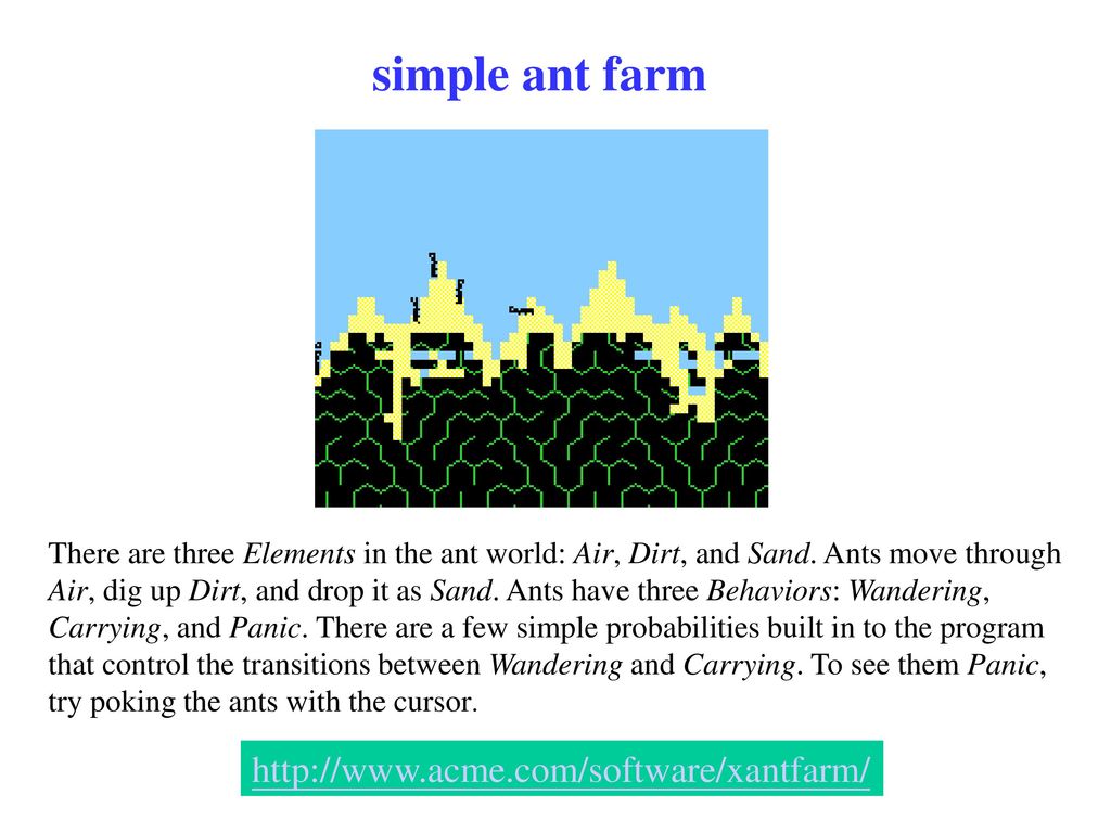 simple ant farm