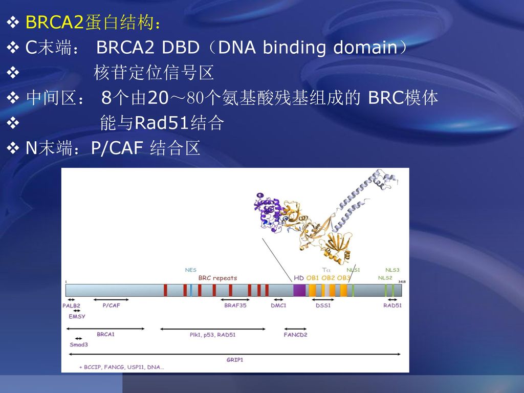 治未病 与预测医学中南大学湘雅医学院医学检验系徐克前 Ppt Download