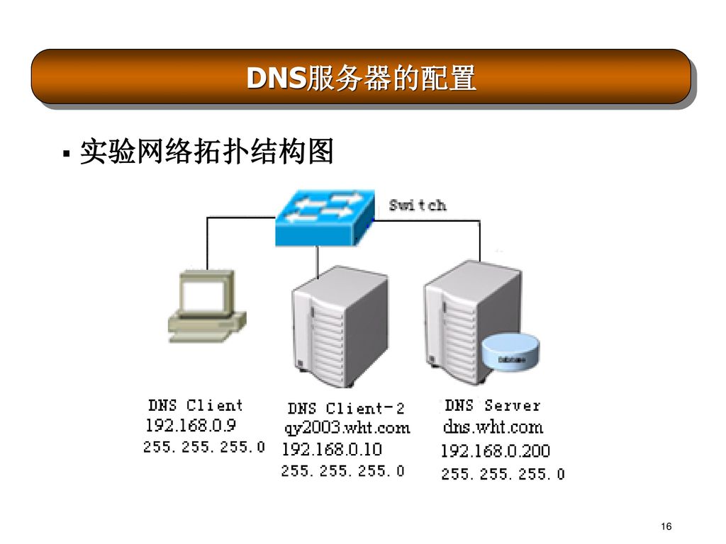 DNS服务器的配置 实验网络拓扑结构图