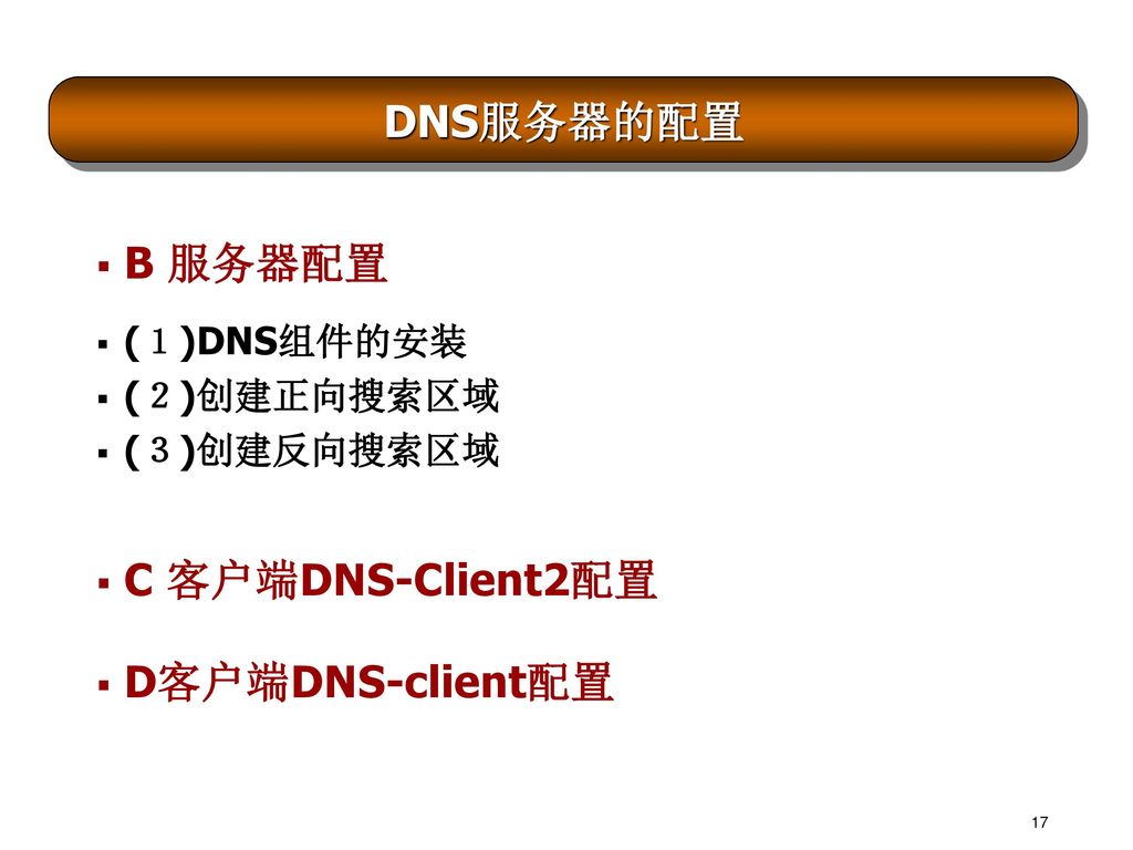 DNS服务器的配置 B 服务器配置 C 客户端DNS-Client2配置 D客户端DNS-client配置 (１)DNS组件的安装