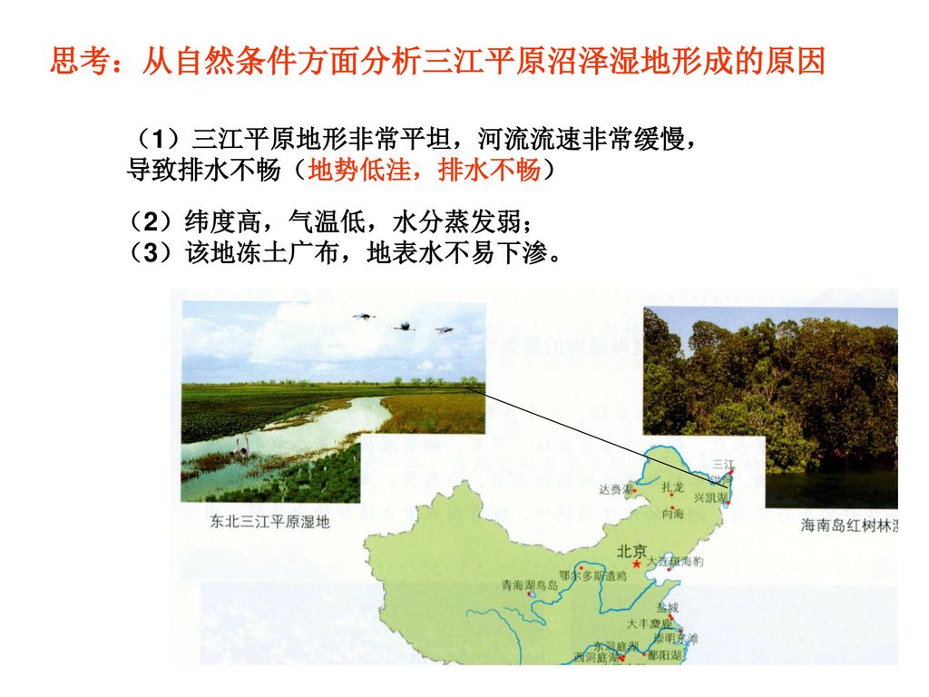 思考：从自然条件方面分析三江平原沼泽湿地形成的原因