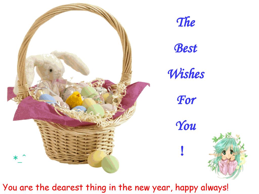 The Best Wishes For You ！